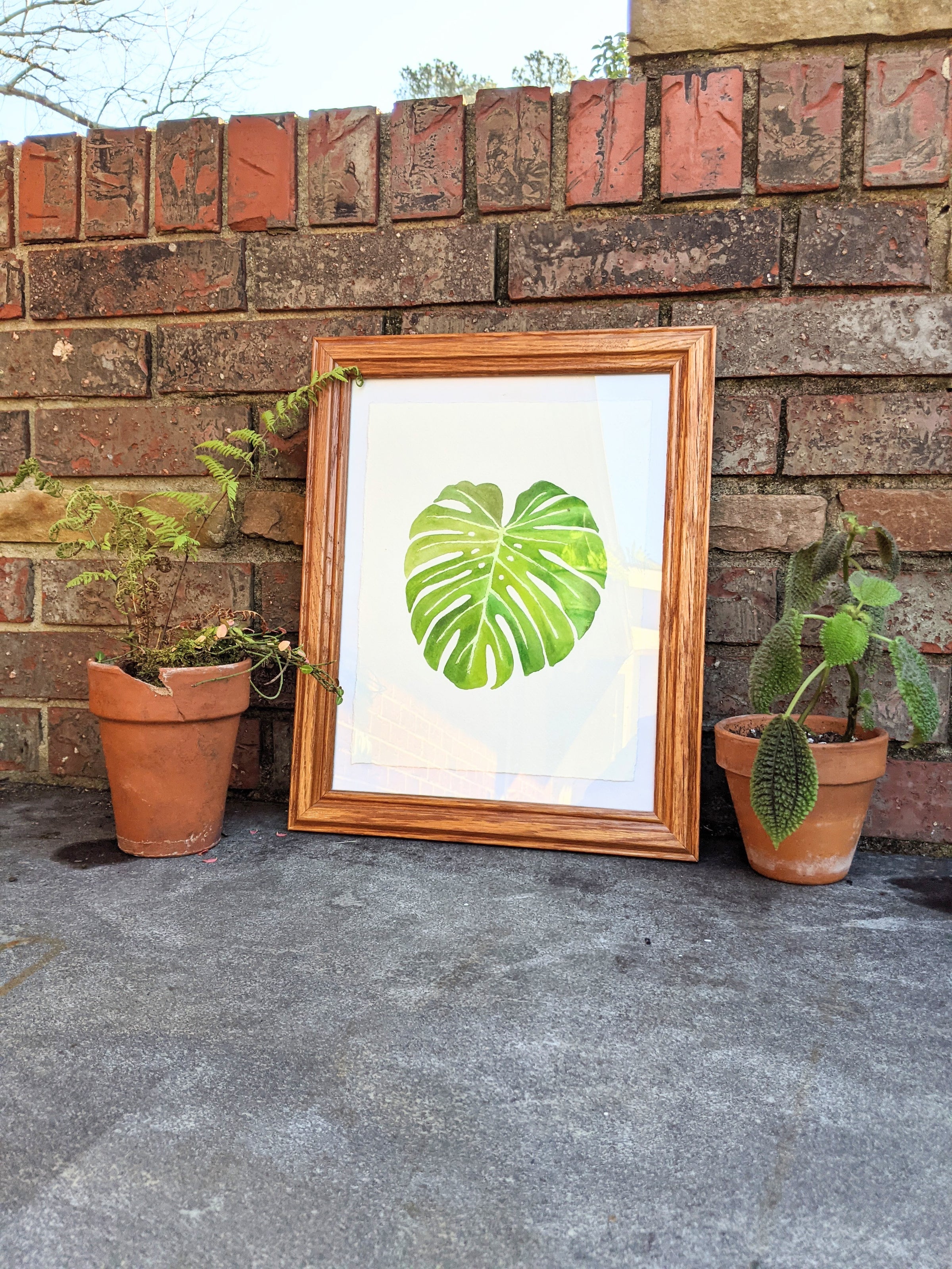 Monstera 002, Original Painting | Tickleweed Studio